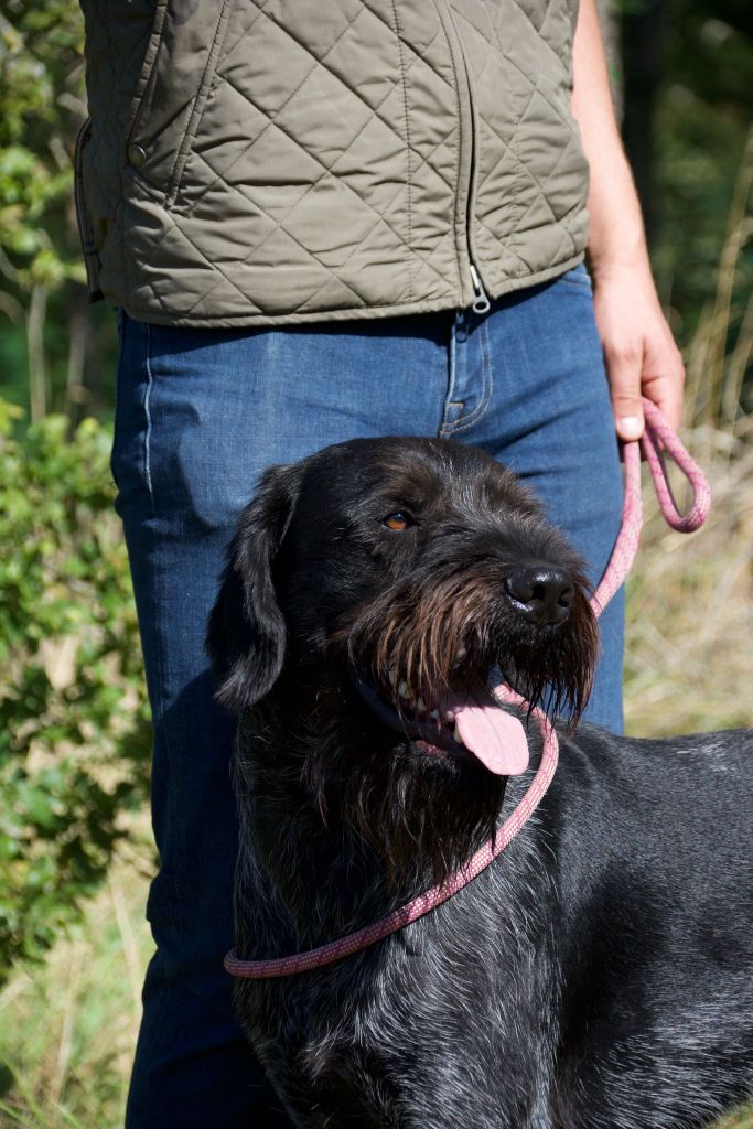Taiko de la ronce des gerfauts