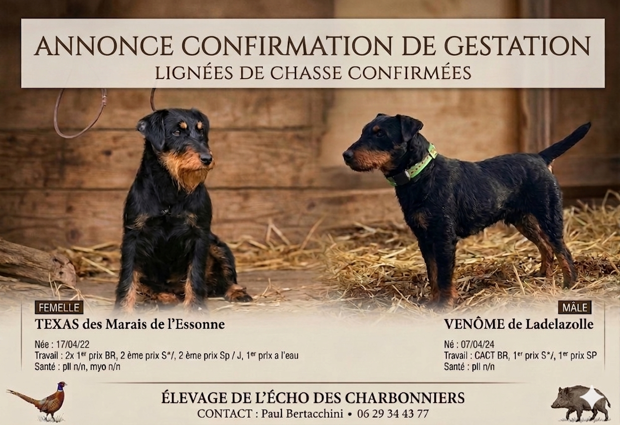 Gestation comfirmer