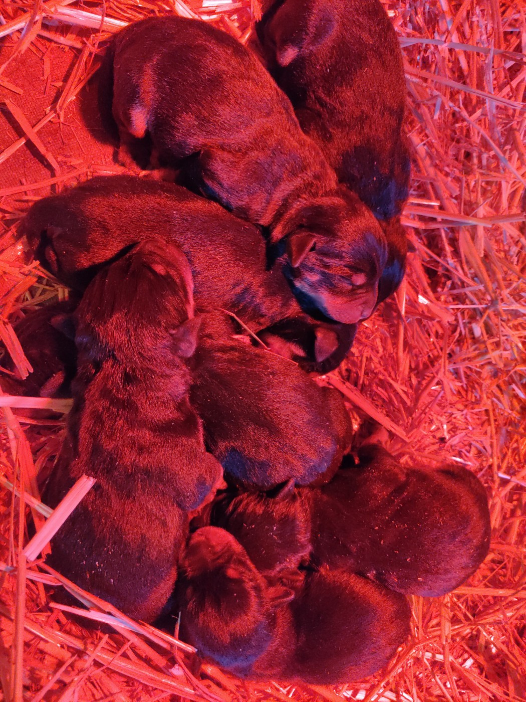 Naissance